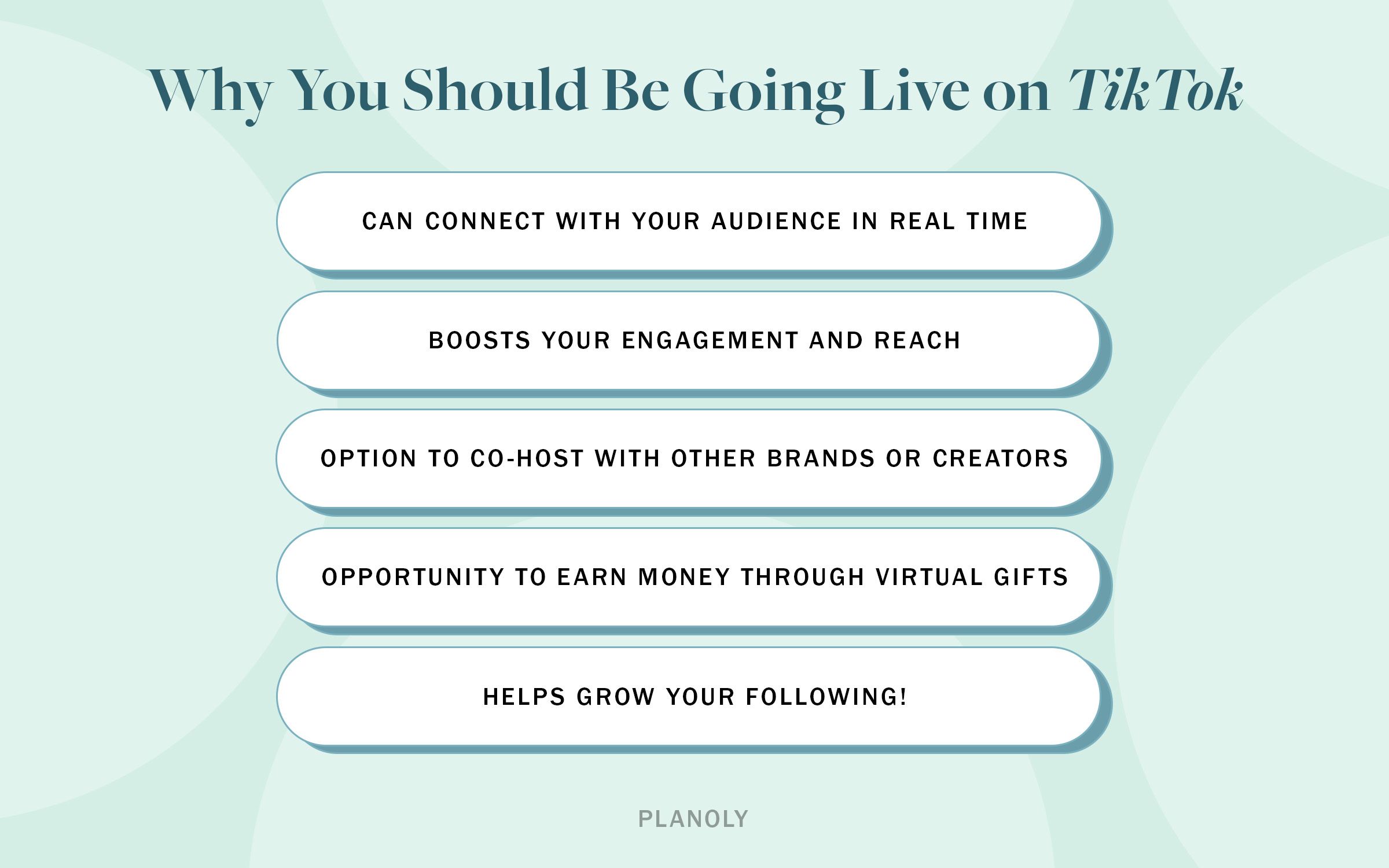 PLANOLY - Blog - TikTok Live_Best Practices for Marketers and SMBs - Horizontal Image