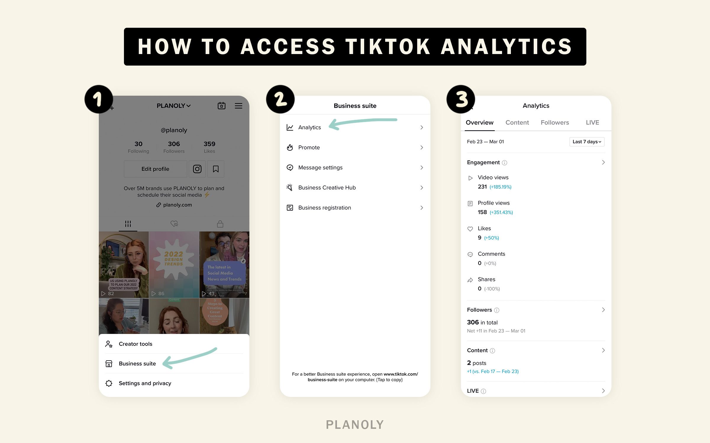 PLANOLY - Blog - Understanding Tiktok Analytics - Horizontal Image