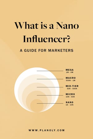 PLANOLY - Blog Post - What is a Nano Influencer - Pinterest