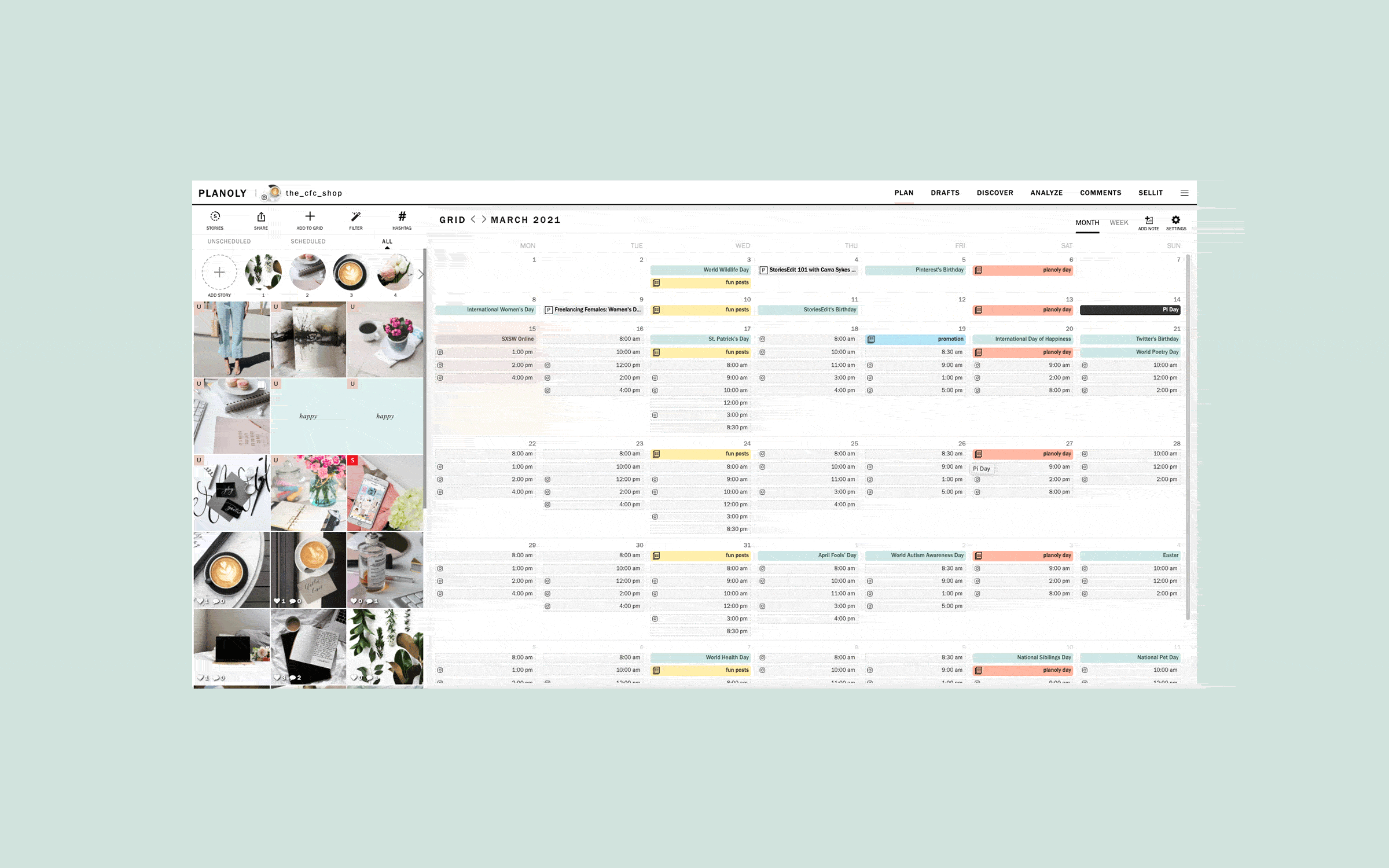 Overview of analyze in PLANOLY's web dashboard