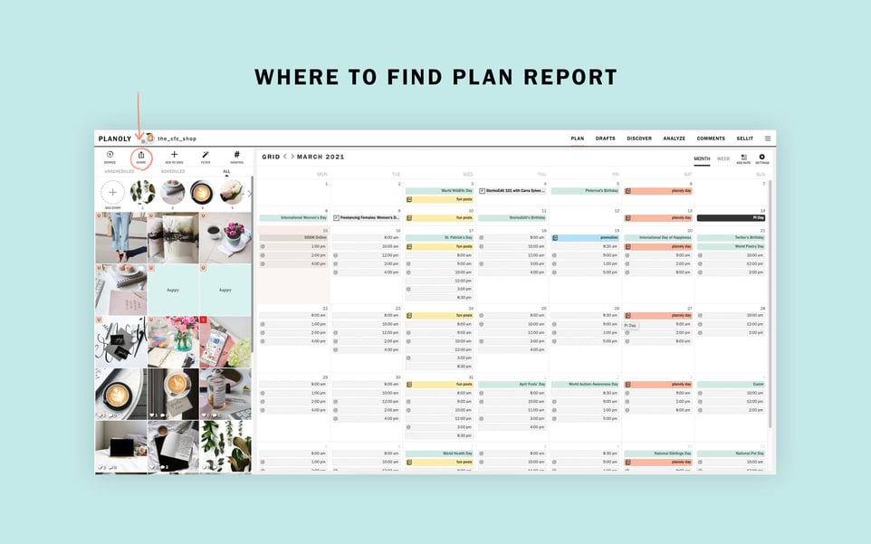 Web dashboard view of where PLANOLY's plan report is located at.