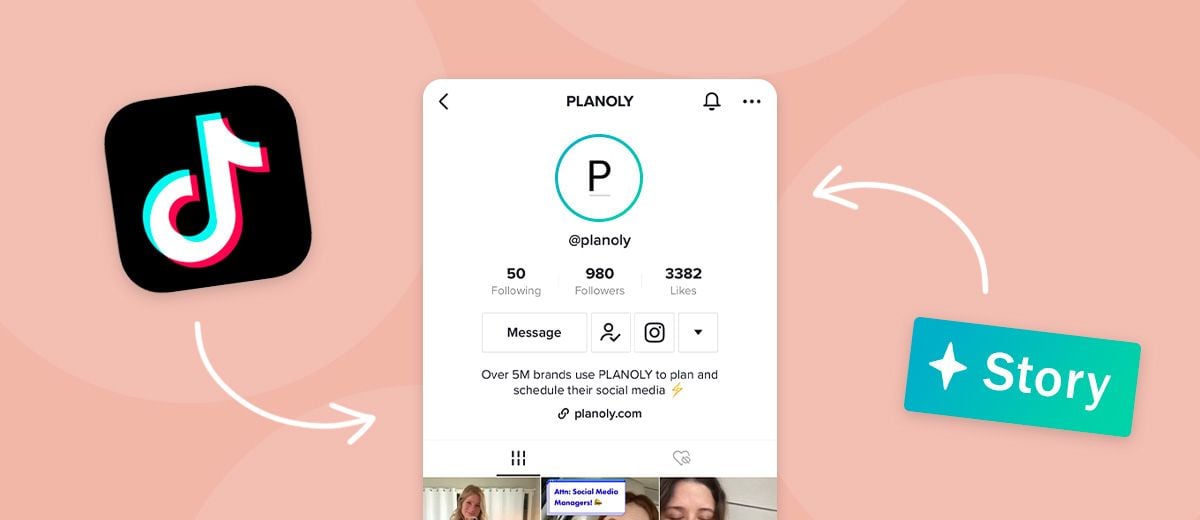 Read about What Are TikTok Stories and How Do You Use It?, on PLANOLY