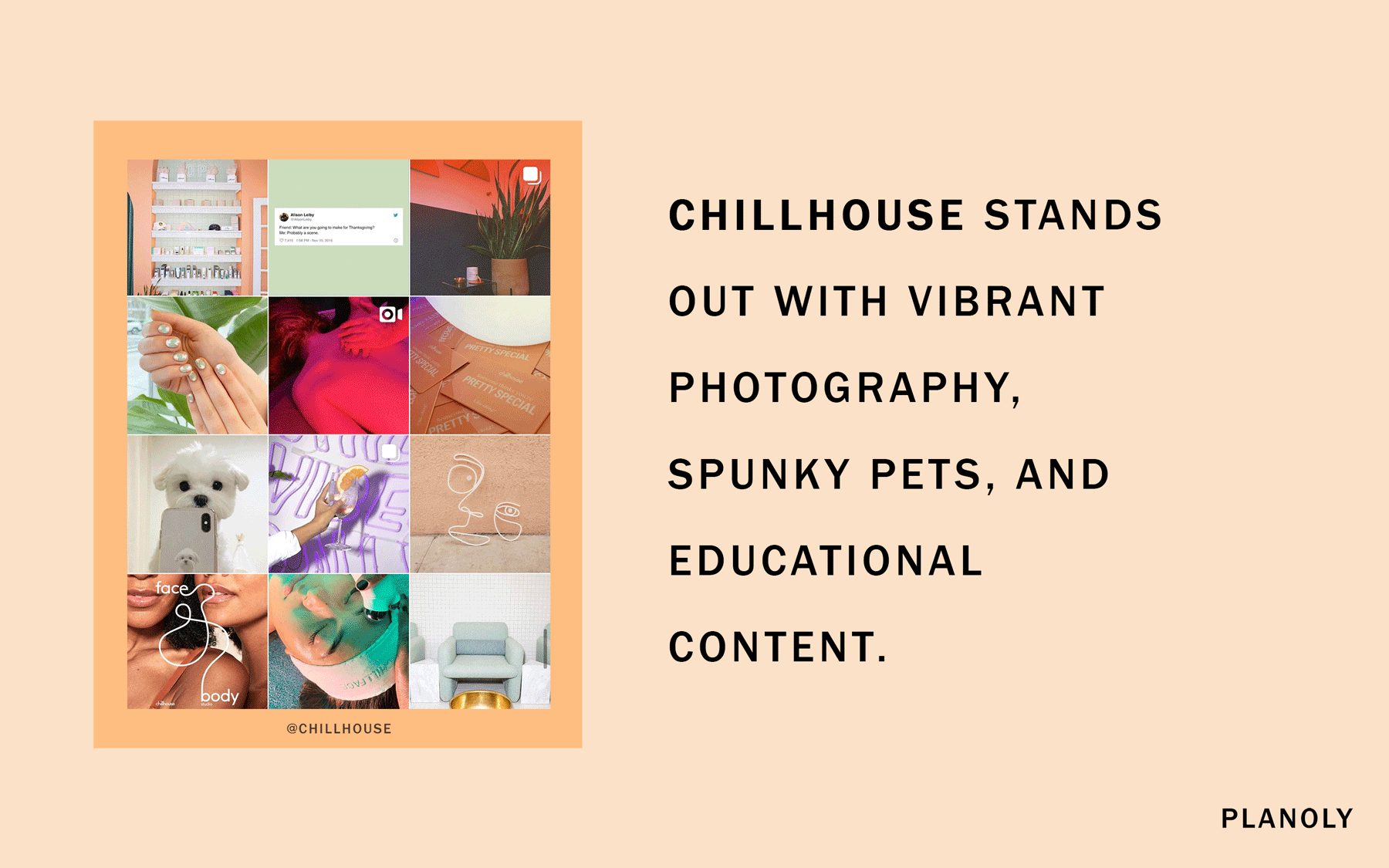 Planoly-Blog-Post-PLANOLEADERS-Chillhouse-Image-2--2