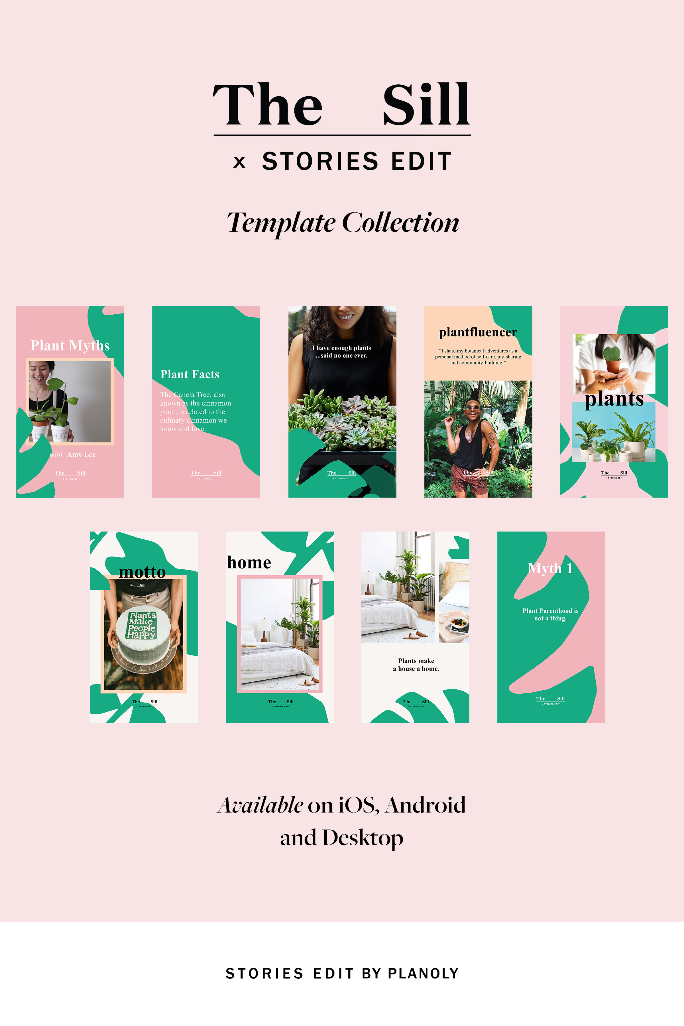 The Sill x StoriesEdit Template Collection