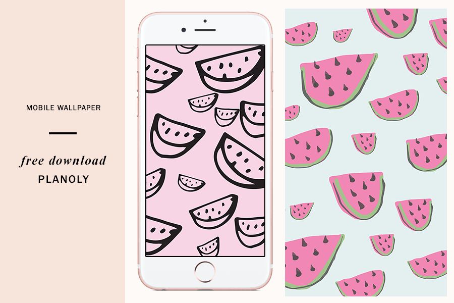 National Watermelon Day - PLANOLY Blog 3