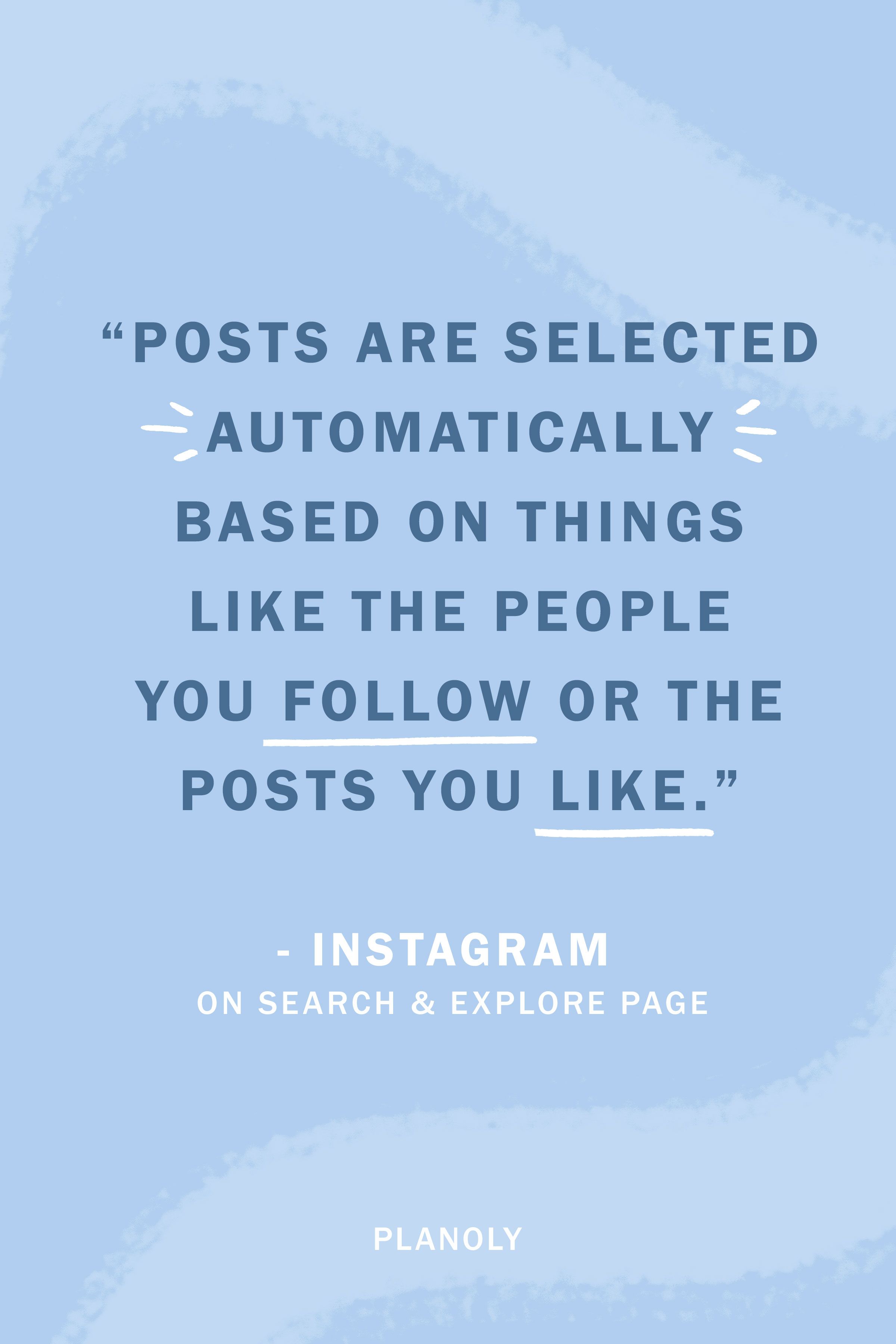 PLANOLY-Blog Post-Instagram Search Feature-Image 2