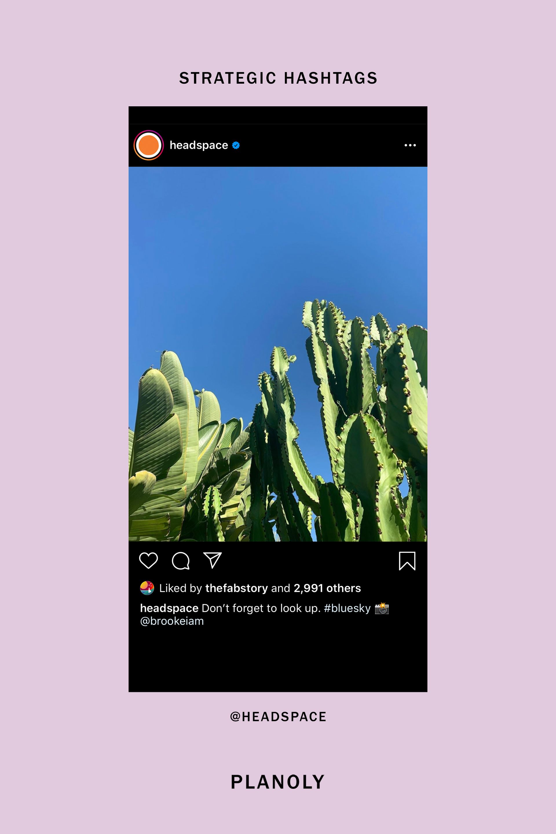 PLANOLY-Blog-Post-The-Ultimate-Guide-to-Writing-Better-Instagram-Captions-Image-4